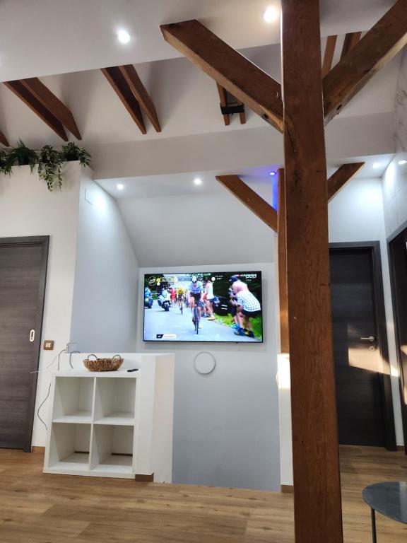 TV a/nebo společenská místnost v ubytování Vila Rajska ptica
