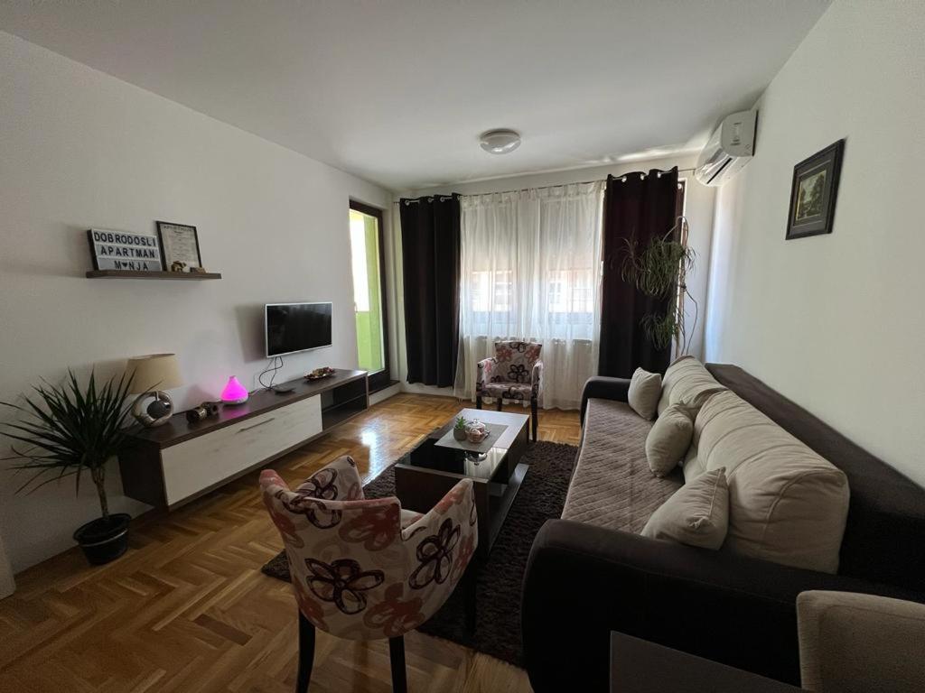 - un salon avec un canapé et une télévision dans l'établissement Apartman Manja, à Lukavica