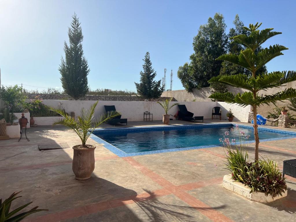 a swimming pool with a palm tree in a yard at Chez Ali in Essaouira