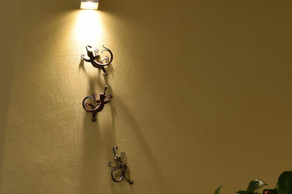Fotografie z fotogalerie ubytování Culummi Bed & Breakfast v destinaci Cavallino di Lecce
