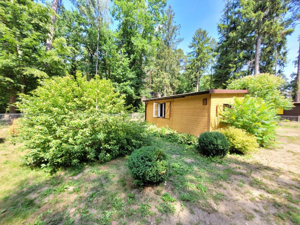 a small cabin in a yard with bushes at Domek Leśny w Dolinie Symsarny in Lidzbark Warmiński
