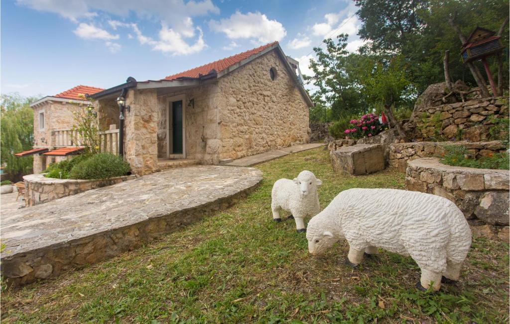 twee schapen in het gras voor een huis bij Awesome Home In Dicmo With Wifi in Osoje