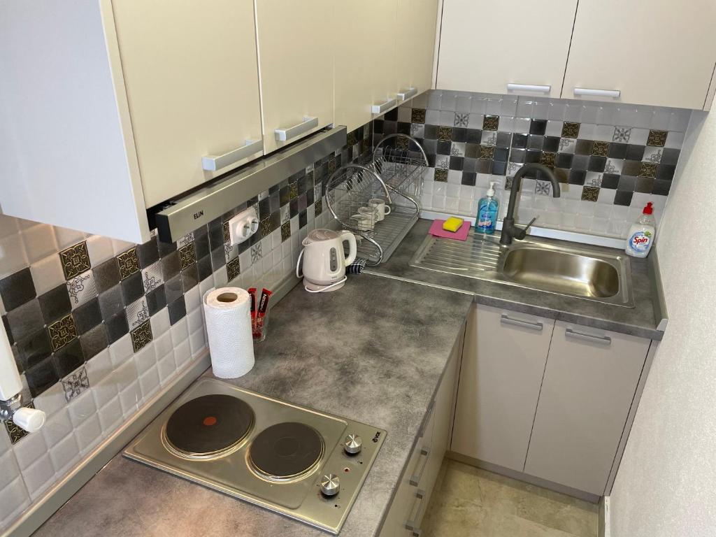Kuchyň nebo kuchyňský kout v ubytování Bora Apartmani - FREE PARKING - CITY CENTER