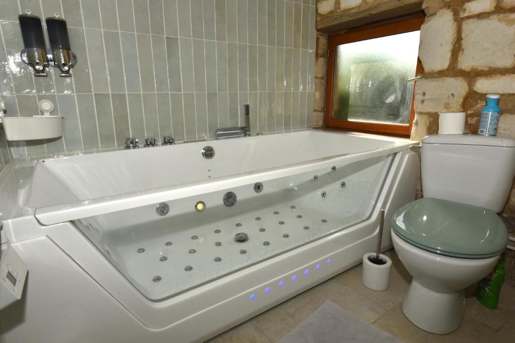 a bathroom with a bath tub and a toilet at Maisonnette du bonheur - Vue campagne - Baignoire Balnéo 32 jets - Lits Queen size in Vadencourt-et-Bohéries