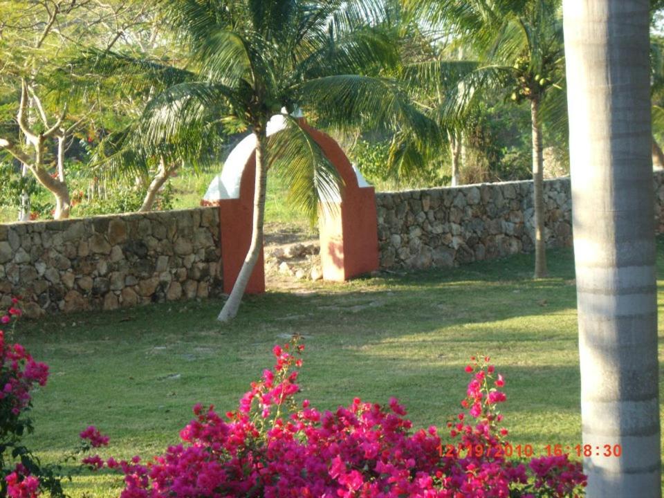 a garden with a stone wall and some pink flowers at Hacienda San Jose Poniente in Hoctún