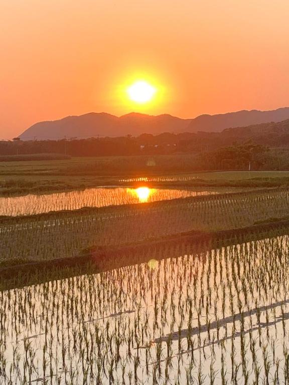 a sunset over a rice field with the sun setting in the background at Ao to Yuuhi - Vacation STAY 34462v in Tateyama