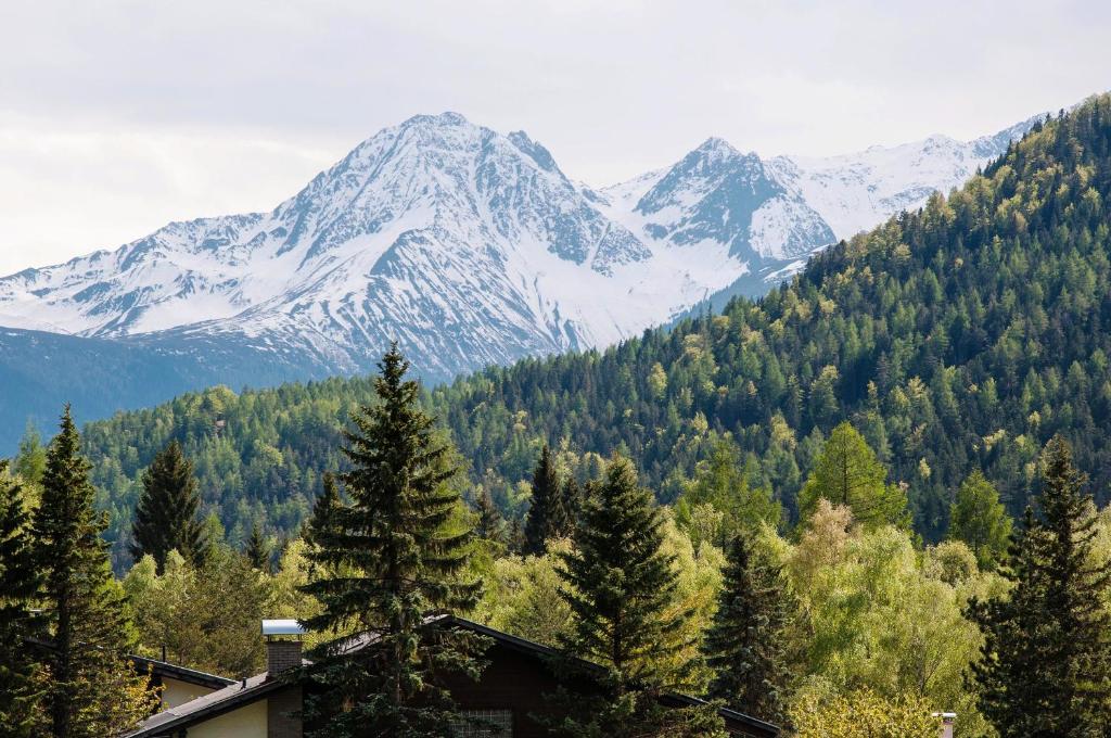 Příroda nedaleko apartmánu