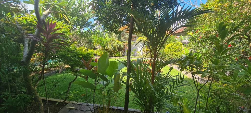 Paranyogan Homestay - 3