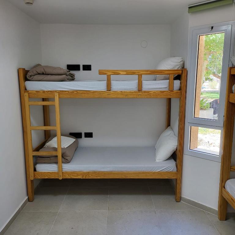 Ein Etagenbett oder Etagenbetten in einem Zimmer der Unterkunft SPNI Eilat Field School