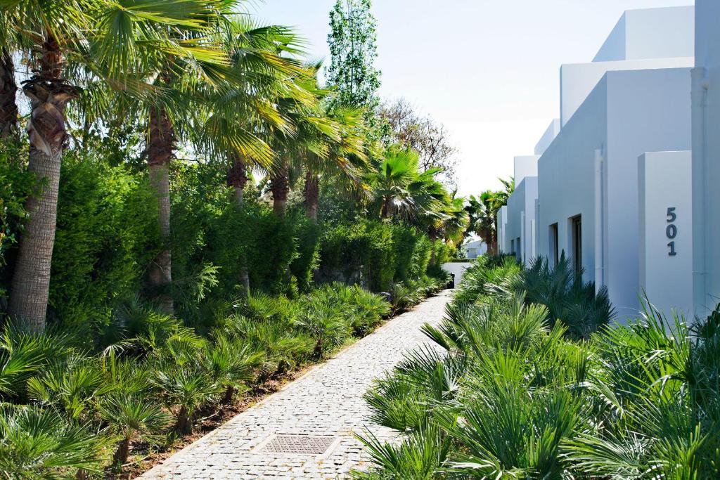גינה חיצונית ב-Sao Rafael Holidays