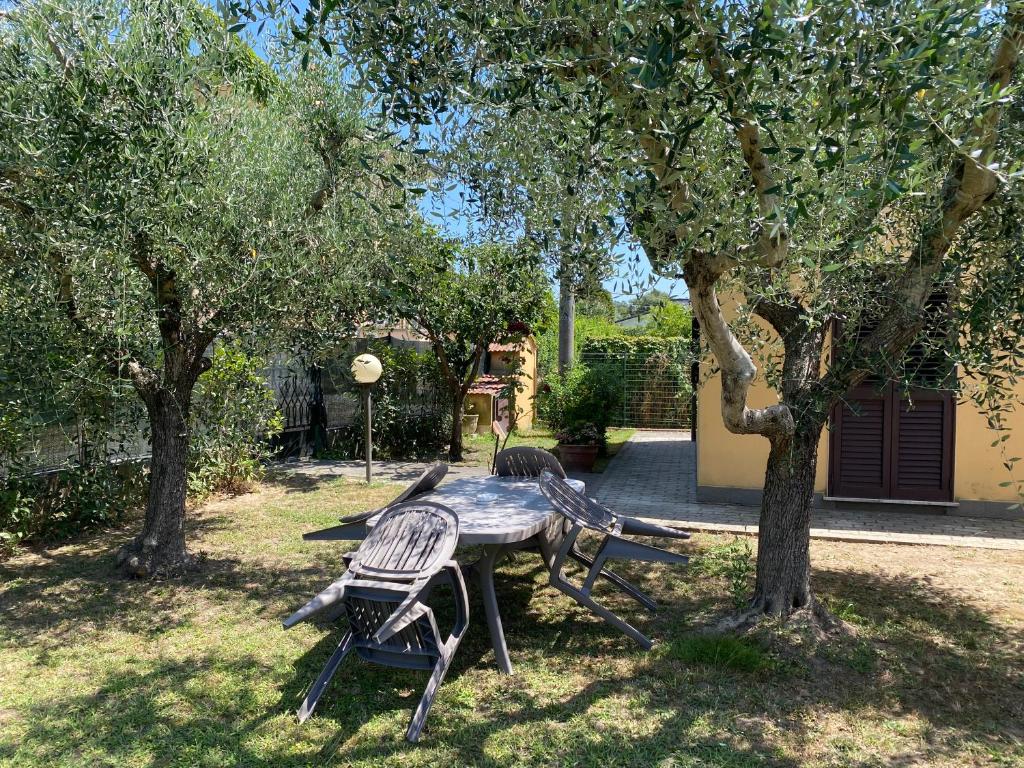 A garden outside Casa versilia