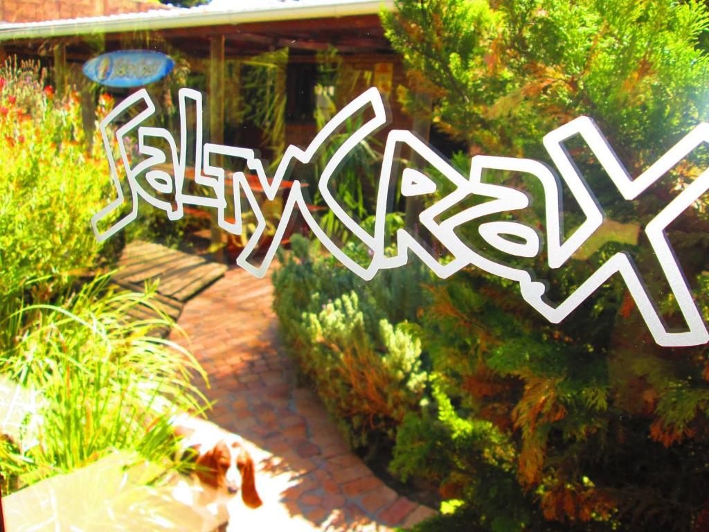 Gallery image of Saltycrax Backpackers and Surf Hostel by CURIOCITY in Bloubergstrand