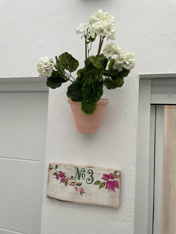 Apartamentos Casa el Gorras - 19