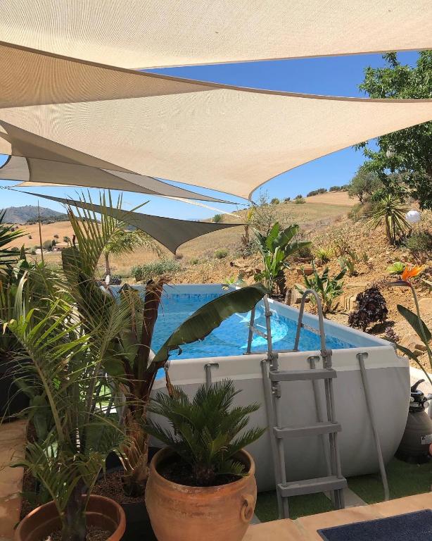 Finca Las Campanas II, Villanueva de la Concepción ...