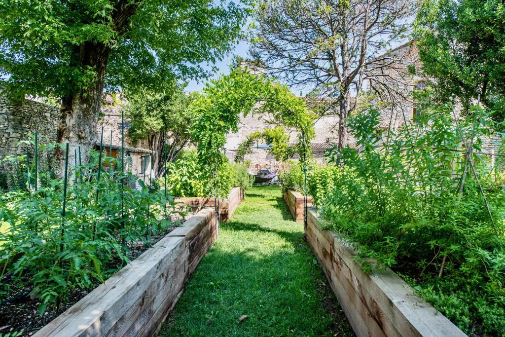 La Chapelle sur la Sorgue - 7