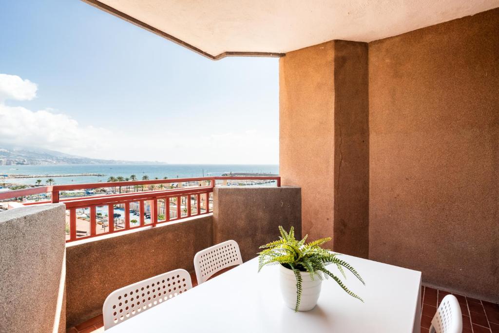 Sur Suites Palmeras 525