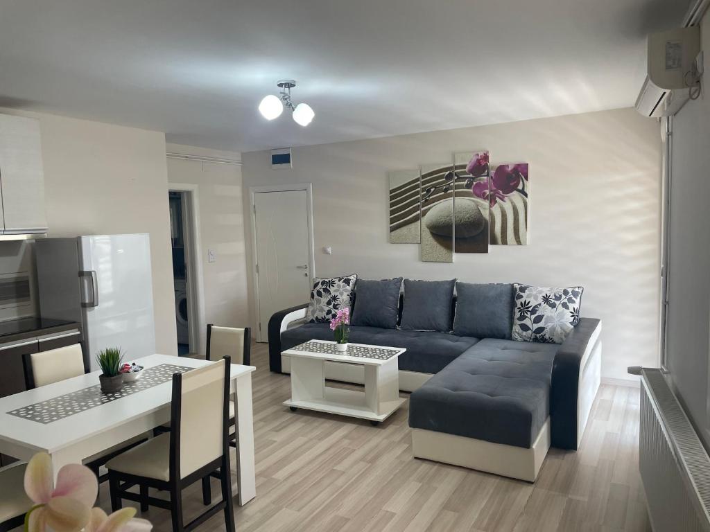 弗拉迪欽漢的住宿－Apartmani Vrla，客厅配有蓝色的沙发和桌子