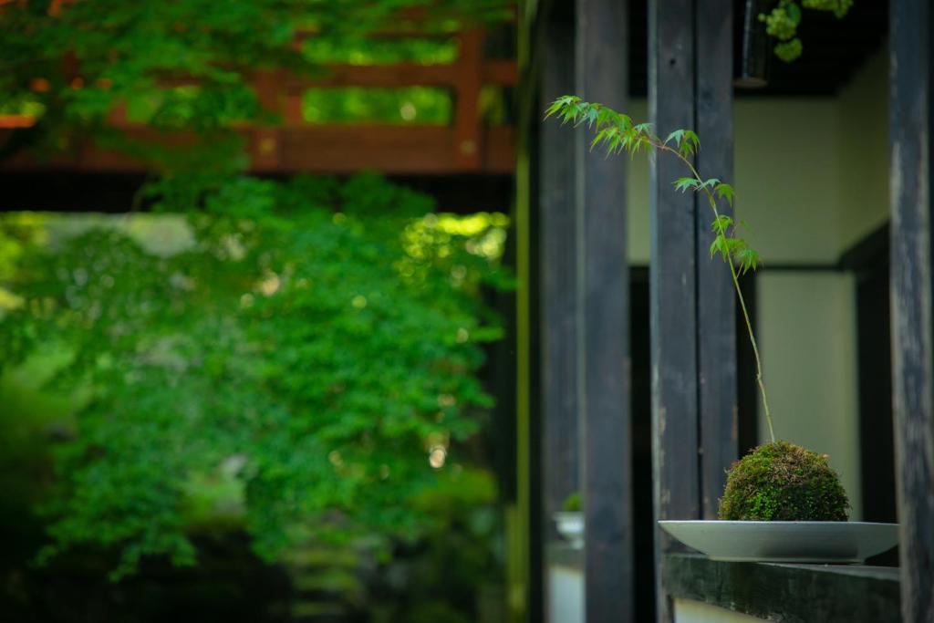 Zahrada ubytování Yumoto Ueyama Ryokan