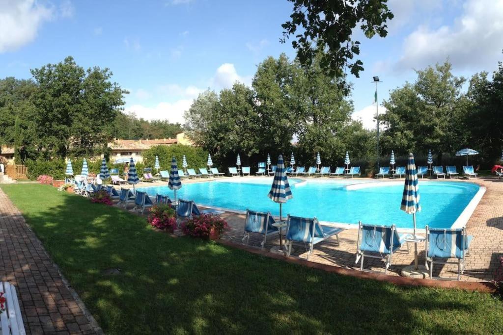 uma grande piscina com cadeiras e guarda-sóis em Vacanzainmaremma - TG12 - Monte Amiata relax e tranquillità - Free parking em Castel del Piano