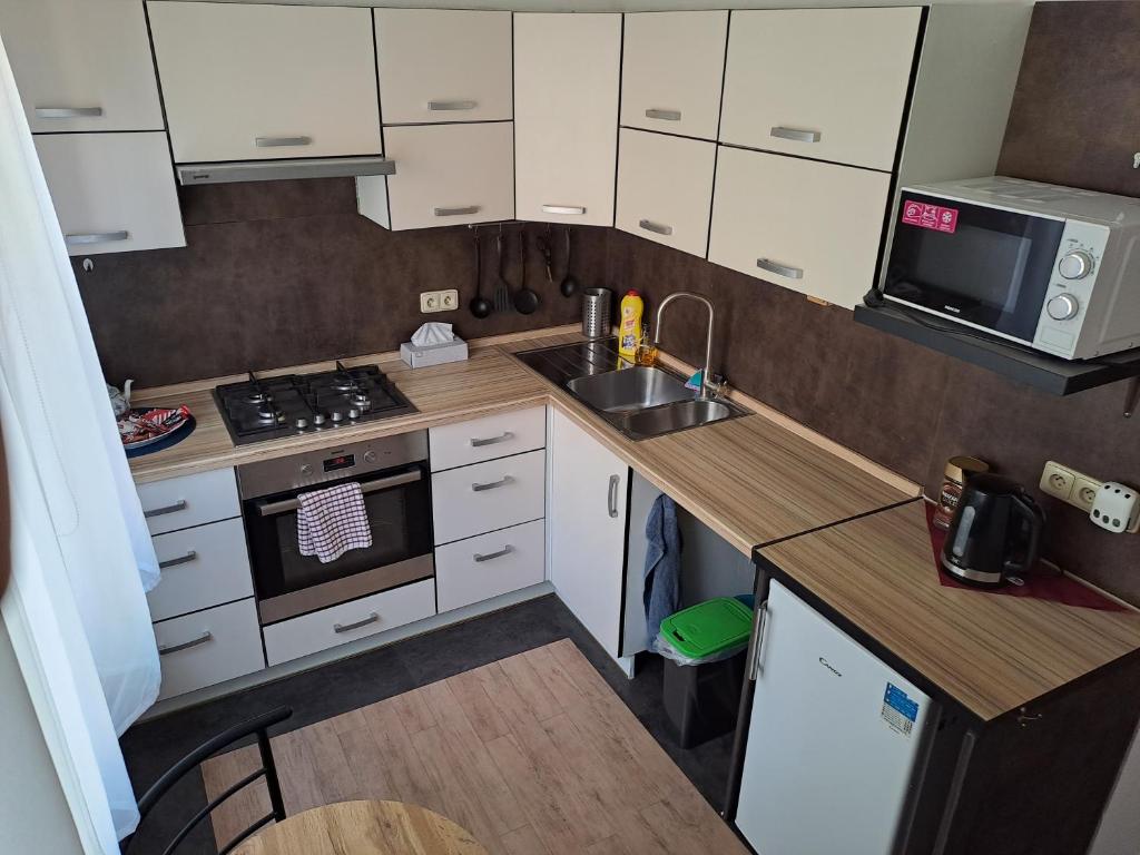 Kuchyň nebo kuchyňský kout v ubytování Apartmán Lenka