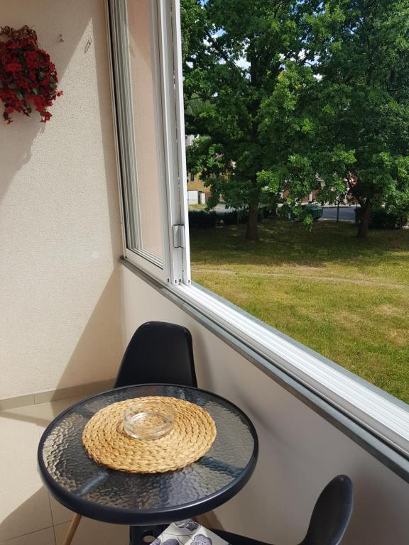 Zahrada ubytování Apartmán Lenka