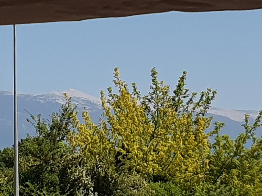 uma vista para uma árvore com montanhas ao fundo em Pura vida em Mazan