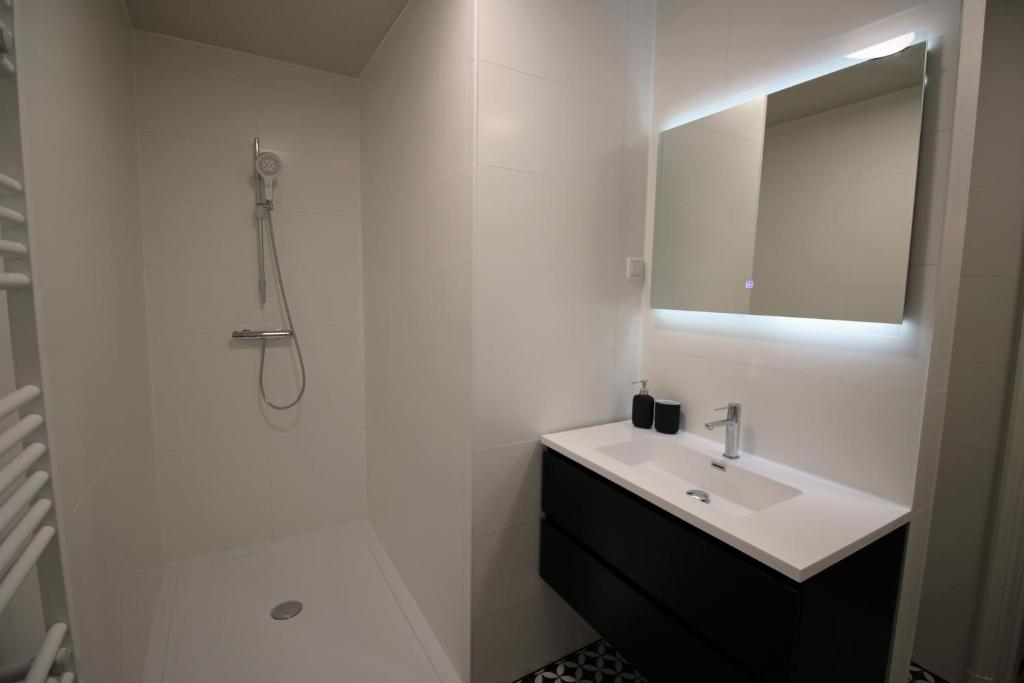 Koupelna v ubytování Ruim appartement in monumentaal gebouw