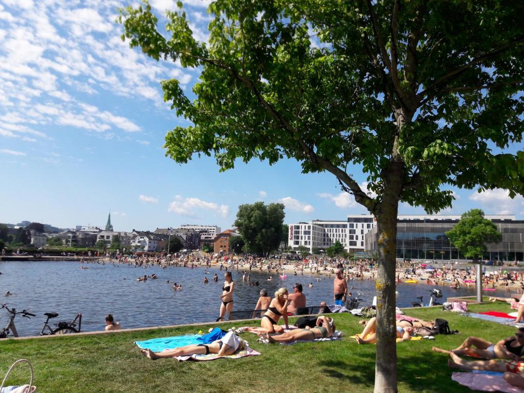 grupa ludzi leżących w trawie nad jeziorem w obiekcie Apartment Bystranda - City Beach w mieście Kristiansand