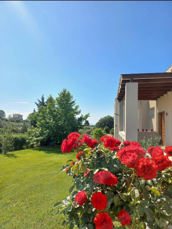 A garden outside Grand Afroditi LUX