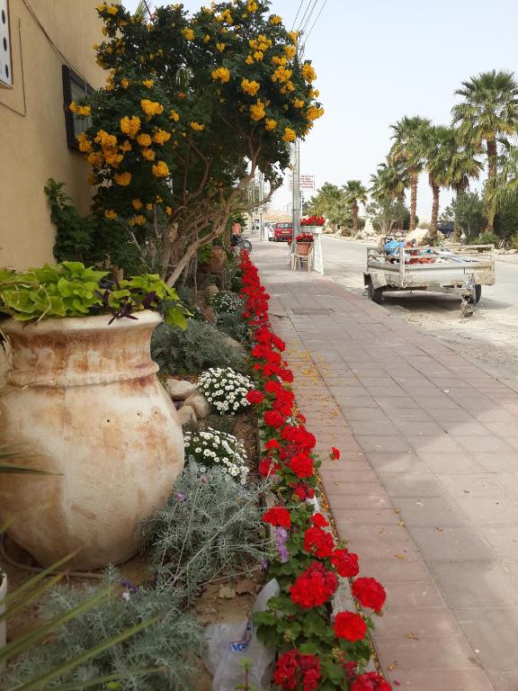Φωτογραφία από το άλμπουμ του Rose Dead Sea Neve Zohar σε Neve Zohar