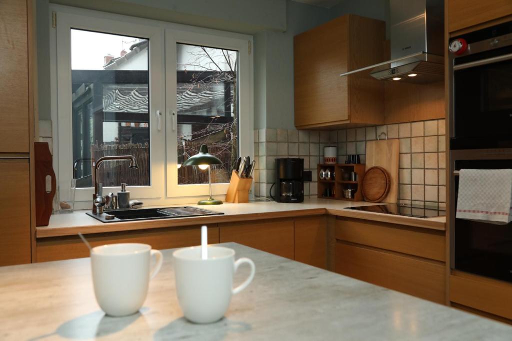 Küche/Küchenzeile in der Unterkunft Marhold Apartments