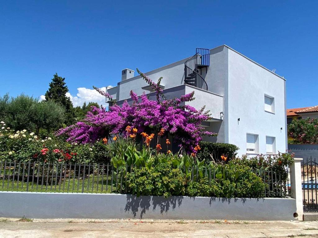 Zahrada ubytování Villa Daniel