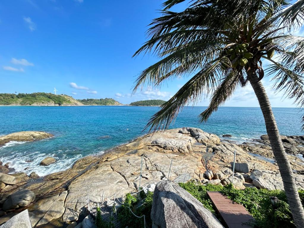 a palm tree on a rocky beach with the ocean at Naiharn On The Rock Resort Phuket in Nai Harn Beach
