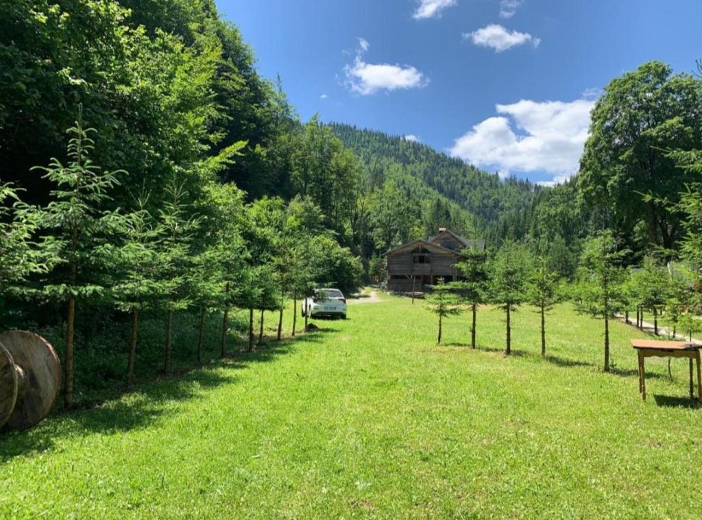 un champ avec une clôture, une maison et des arbres dans l'établissement Villa Restaurant Mulliri, à Peje