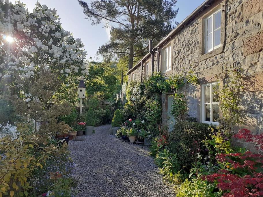 a stone house with plants on the side of it at Gorgeous romantic cosy cottage retreat with views in Winster