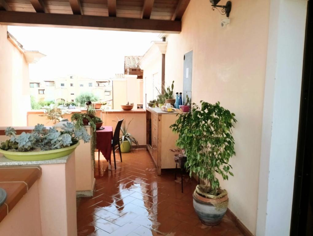 a living room with potted plants on the floor at Appartamento da Monica in Tortolì