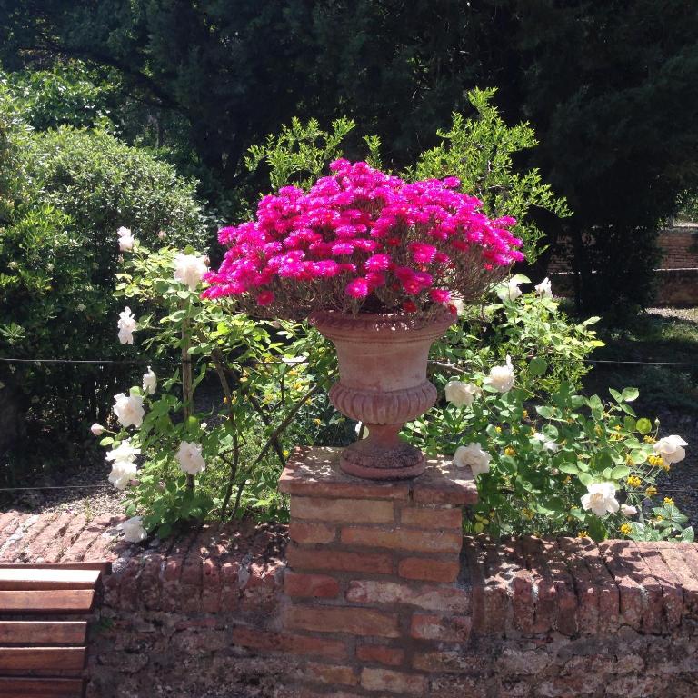 Ogród w obiekcie Hotel Palazzo di Valli