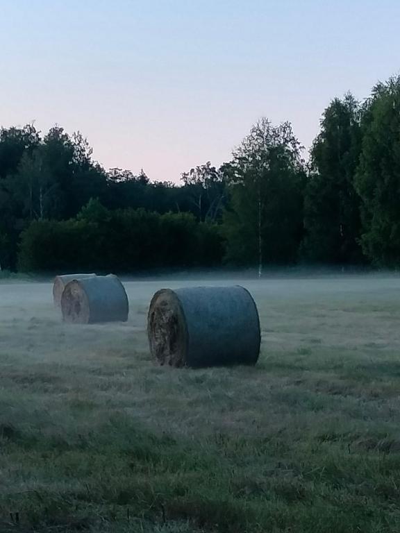 Fotografie z fotogalerie ubytování Metsatuule puhkeküla v destinaci Hiiumaa