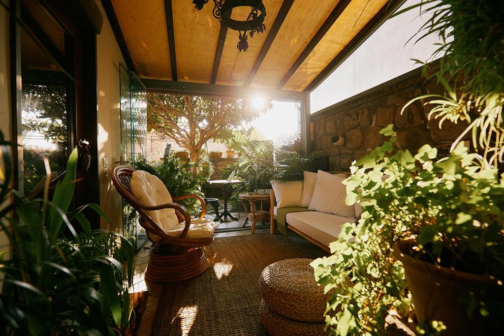 un porche con sofá y algunas plantas en La casetta di Giusy - Alloggio turistico, en Viterbo