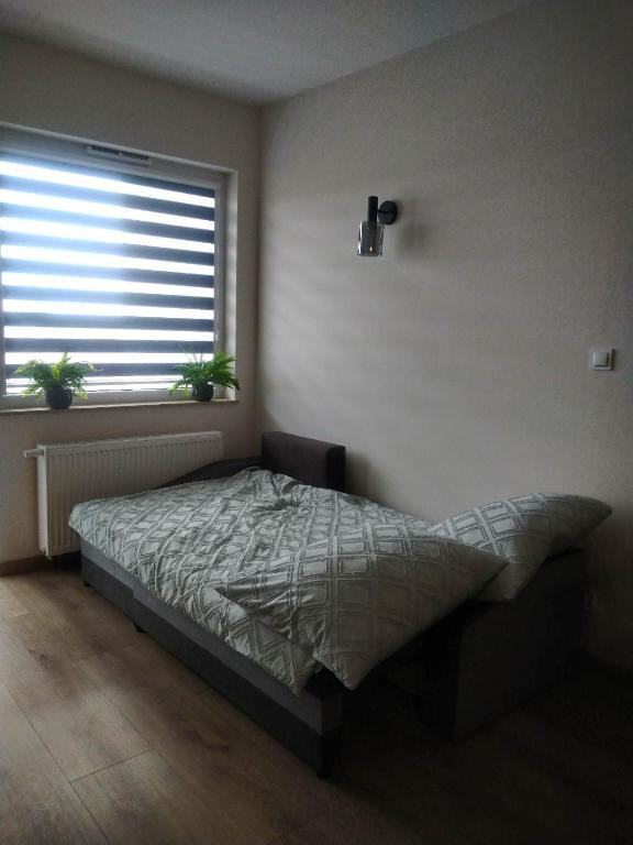 Uniejów Apartament - 10