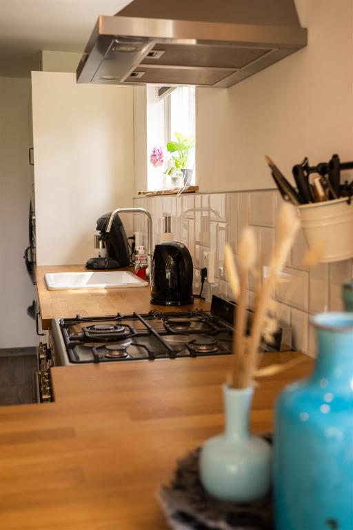 Kuchyň nebo kuchyňský kout v ubytování Vakantiewoning Le Garaazje
