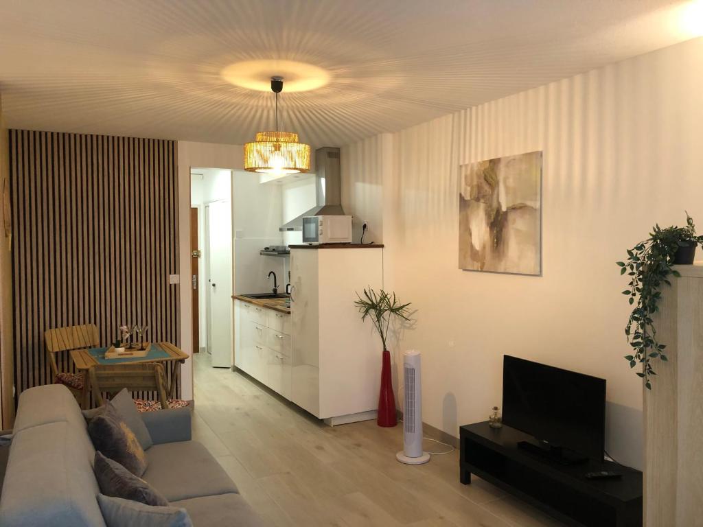 un salon avec un canapé et une cuisine dans l'établissement Joli studio proche de la nature, à La Grande Motte