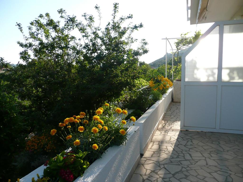 Vonkajšia záhrada v ubytovaní Apartment Nima Orebic