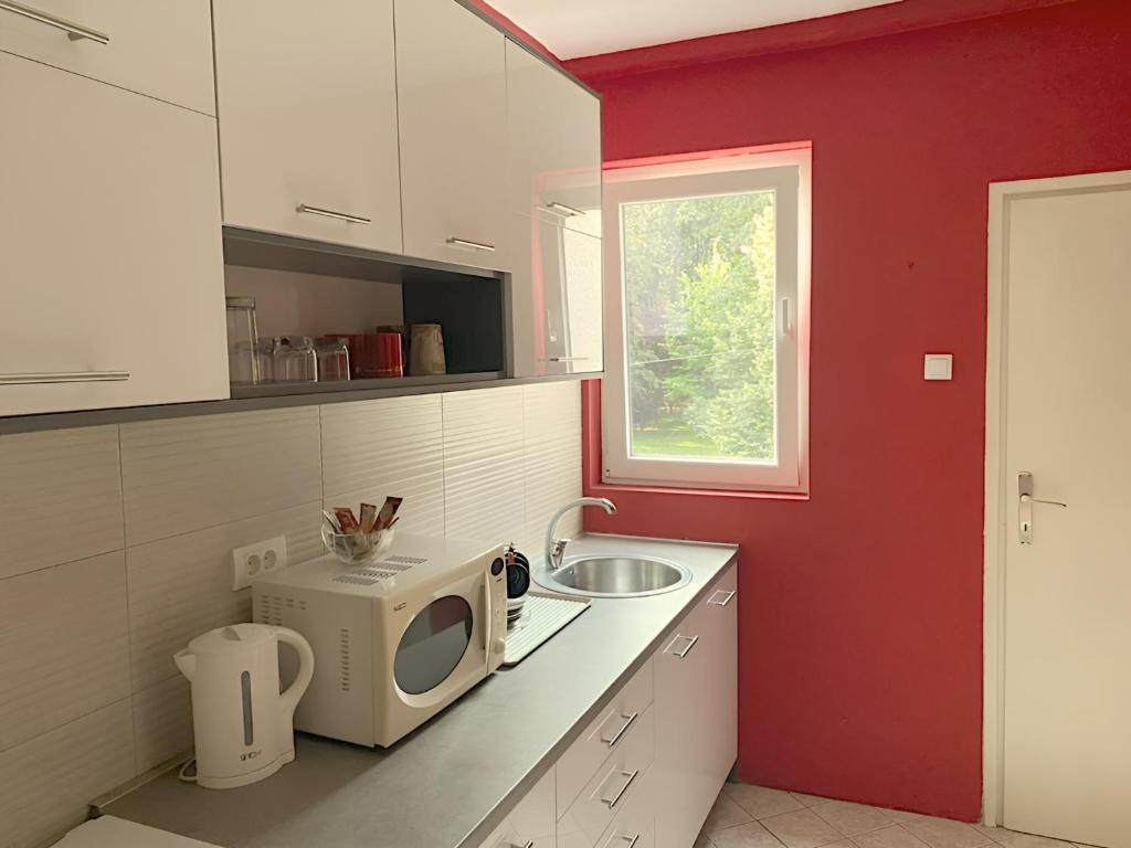 Kuchyň nebo kuchyňský kout v ubytování Central Park Apartment