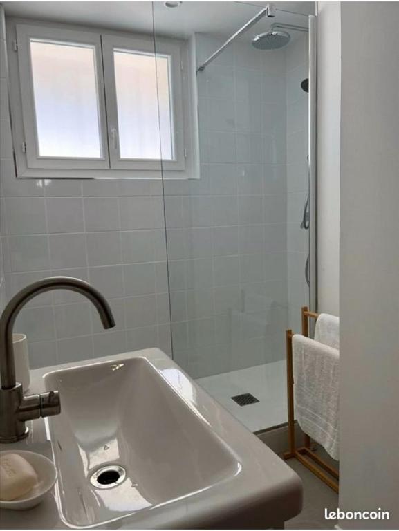 a bathroom with a sink and a shower at Appartement idéalement situé Font romeu in Font-Romeu-Odeillo-Via