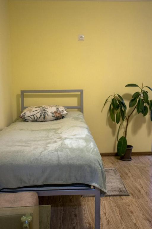 a bedroom with a bed with a pillow and a plant at Lucy in Garni