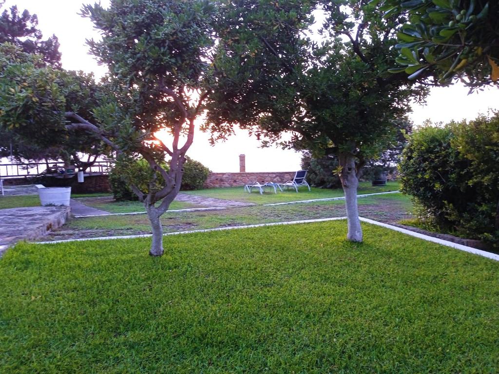 two trees in a lawn with a bench in the distance at Genari Beach Apartments in Levendokhórion