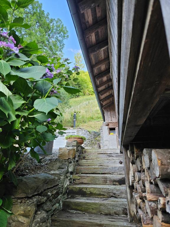 Giardino di Traditional Chalet with some luxurious features