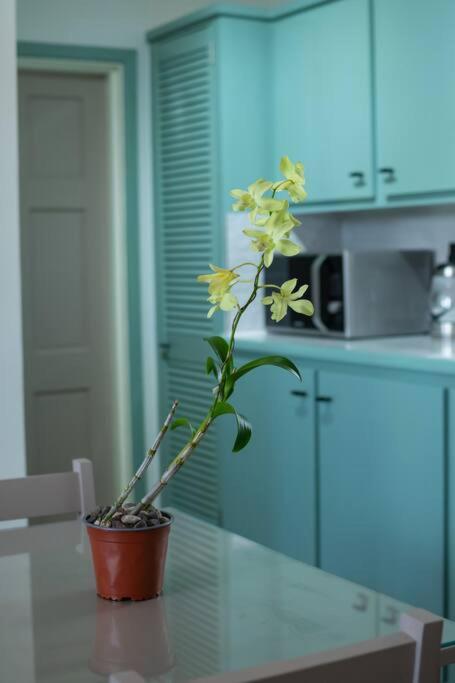 A kitchen or kitchenette at SOHI Villa
