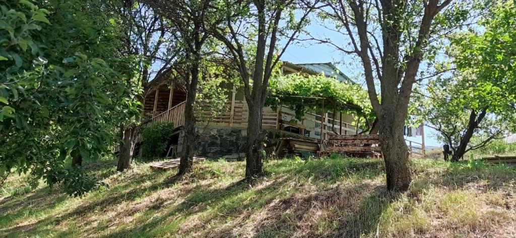 a log cabin with trees in front of it at mesxta in Nak'alak'evi